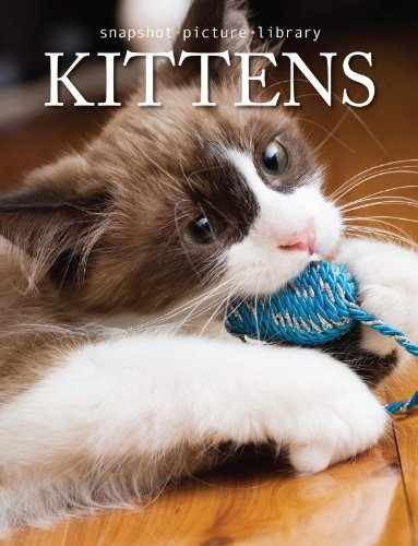 Kittens (Snapshot Picture - Hardcover, by Weldon Owen; Karen - Very Good