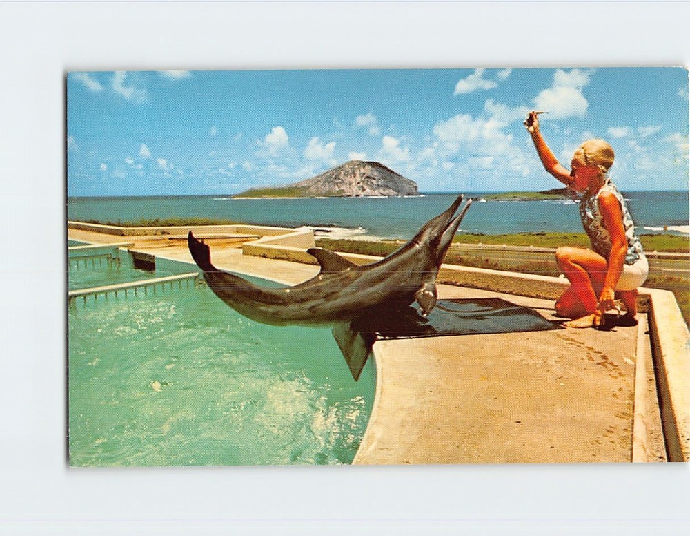 Postcard Porpoise Keiki & Trainer Sea Life Park Hawaii USA