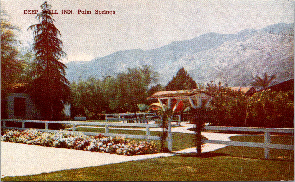 Vintage Postcard Deep Well Inn Palm Springs Lush Gardens Pathway