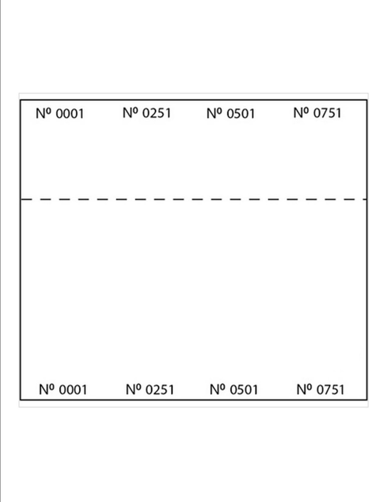 Numbered Raffle Ticket Sheets 8.5x11 4 Tickets Per Sheet 250 Sheets White