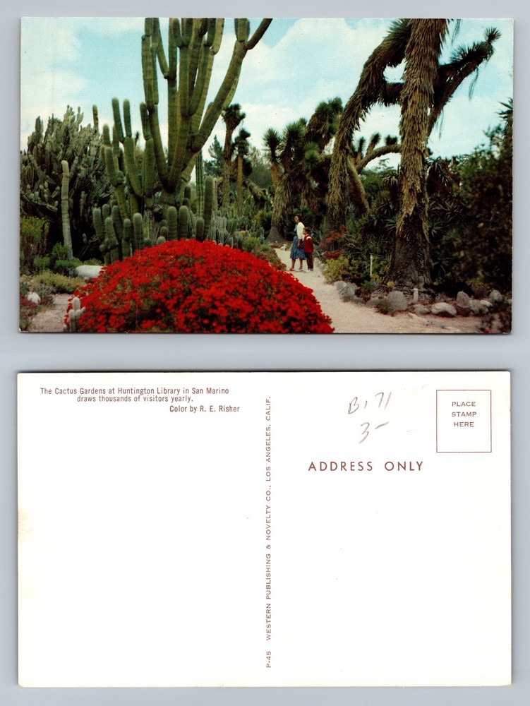 San Marino, CA-California, Huntington Library Cactus View PC Vintage Postcard