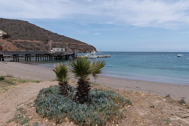 Photo:Santa Catalina Island California 2013 Beach Pier Harbor View