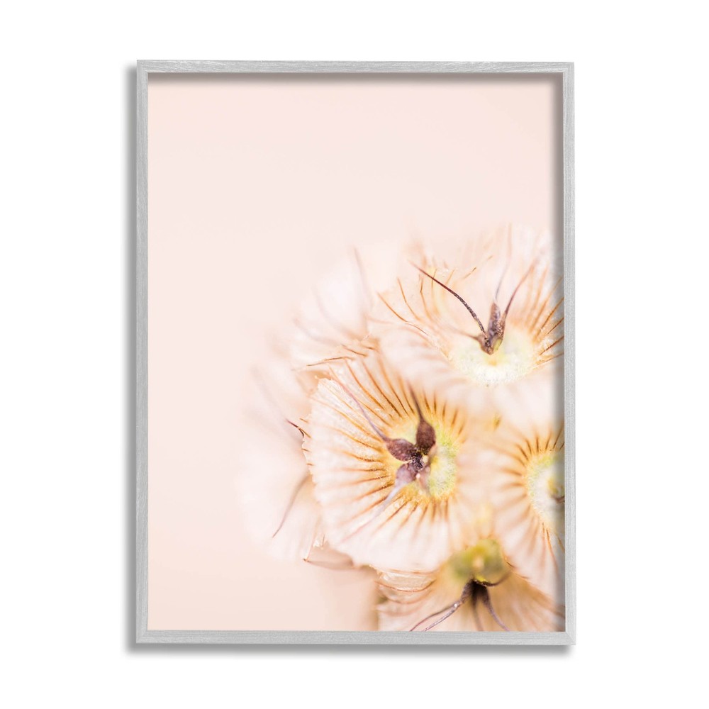 Close Up Pink Flower Anther Giclee Framed Wall Art, Design by Renee W. Stramel