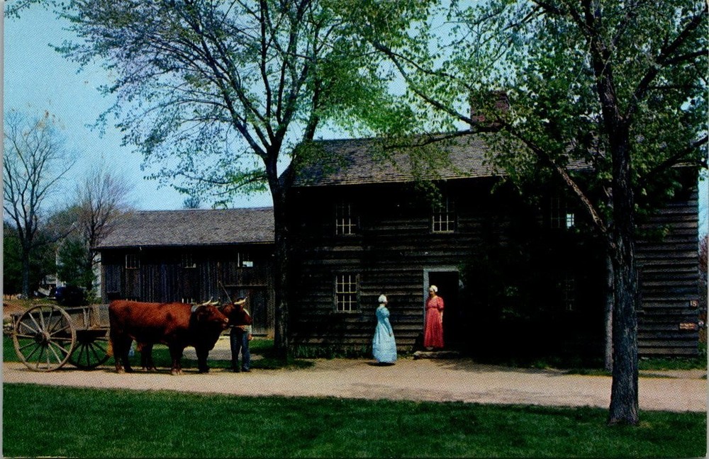 Old Sturbridge Village Fenno House Oxen Color Photo Postcard MA