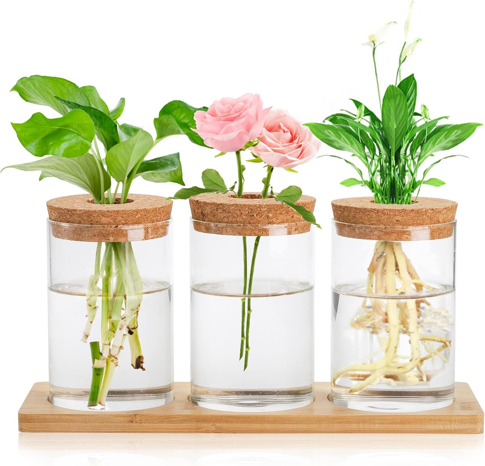 Lawei 3-Piece Glass Terrarium Propagation Stations for Tabletop Water Plants