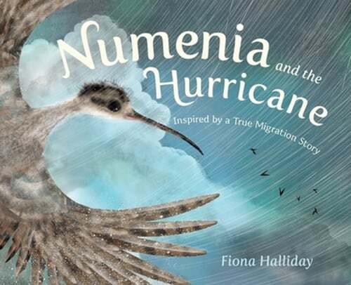 Numenia and the Hurricane: Inspired by a True Migration Story by Fiona Halliday