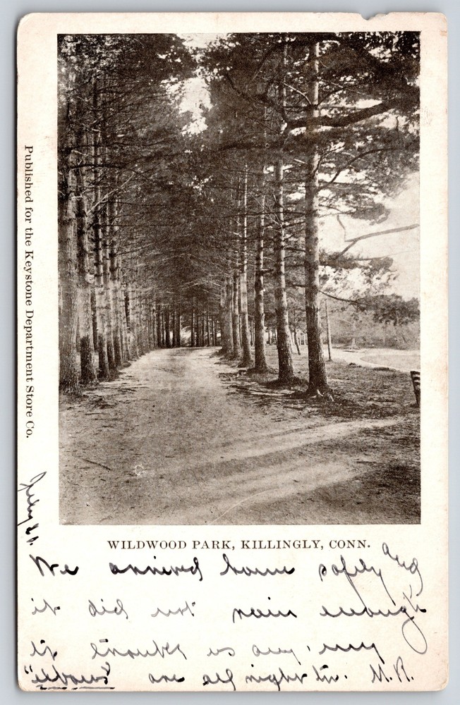 State View~Killingly Connecticut~Wildwood Park Road Scene~B&W~Vintage Postcard