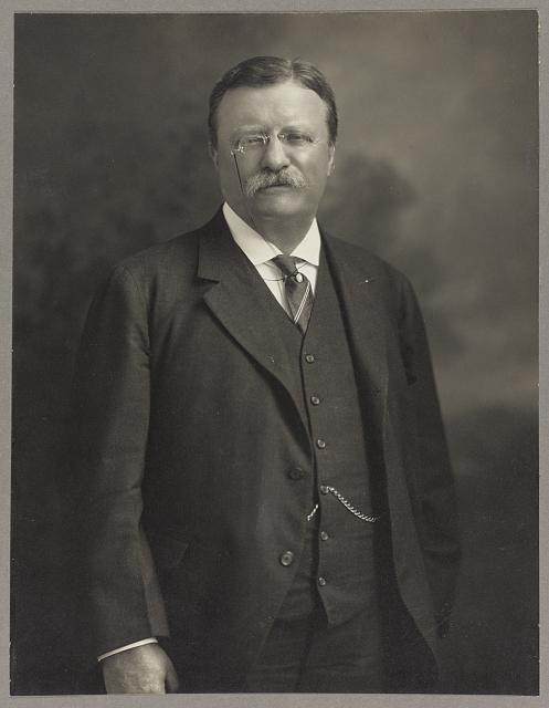 Photo:Theodore Roosevelt c1913 Half-Length Portrait Standing Facing Front