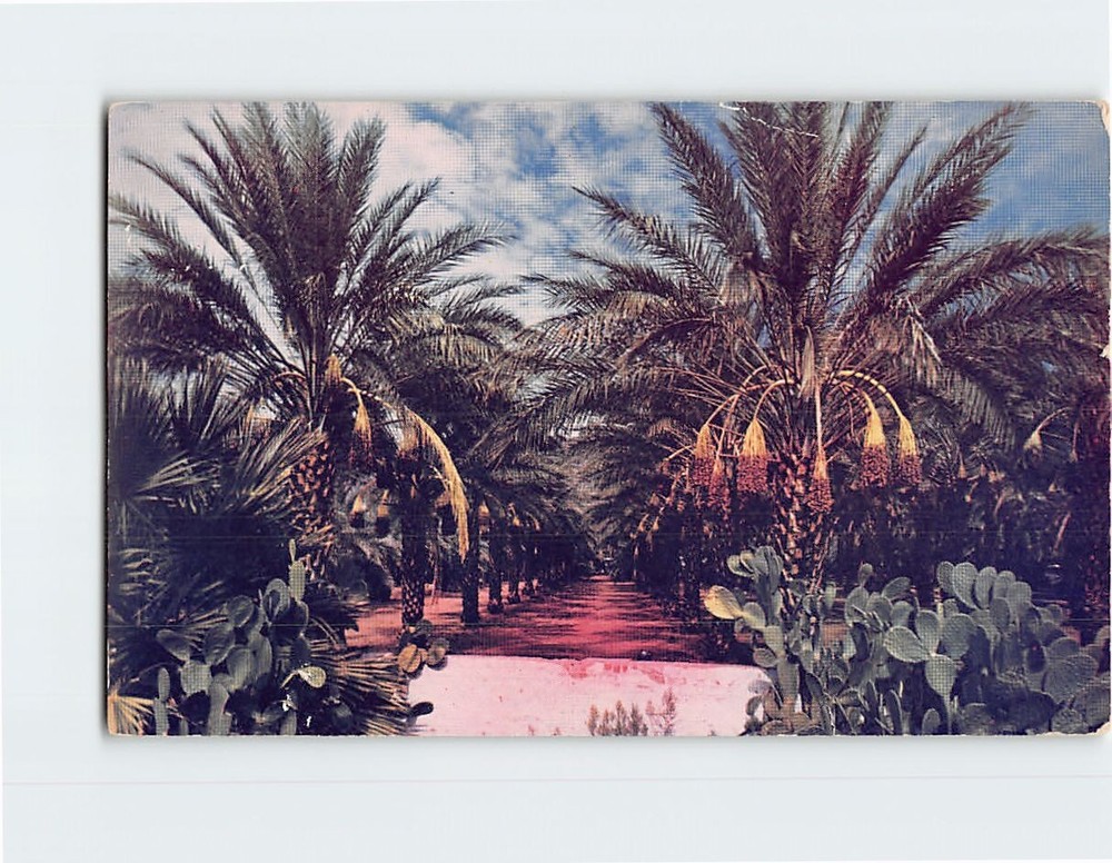 Postcard Coachella Valley near Indio California USA