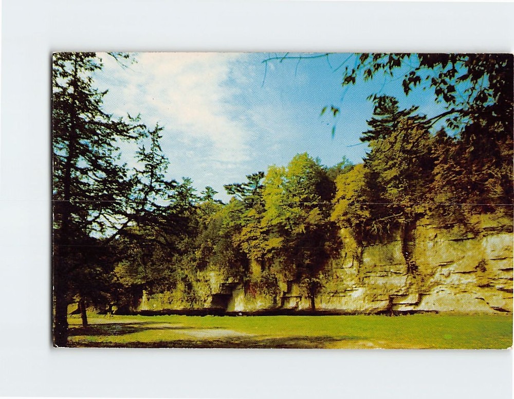 Postcard Picnic Area White Pines State Park Illinois USA