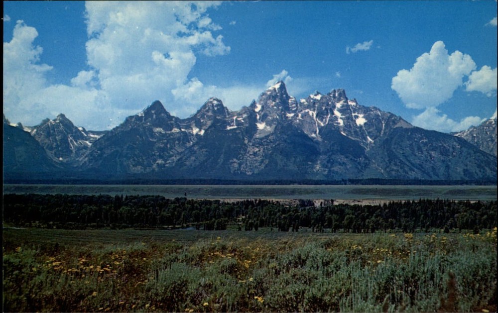 Snow capped Teton Range Jackson Hole Wyoming wild flowers ~ 1970s postcard