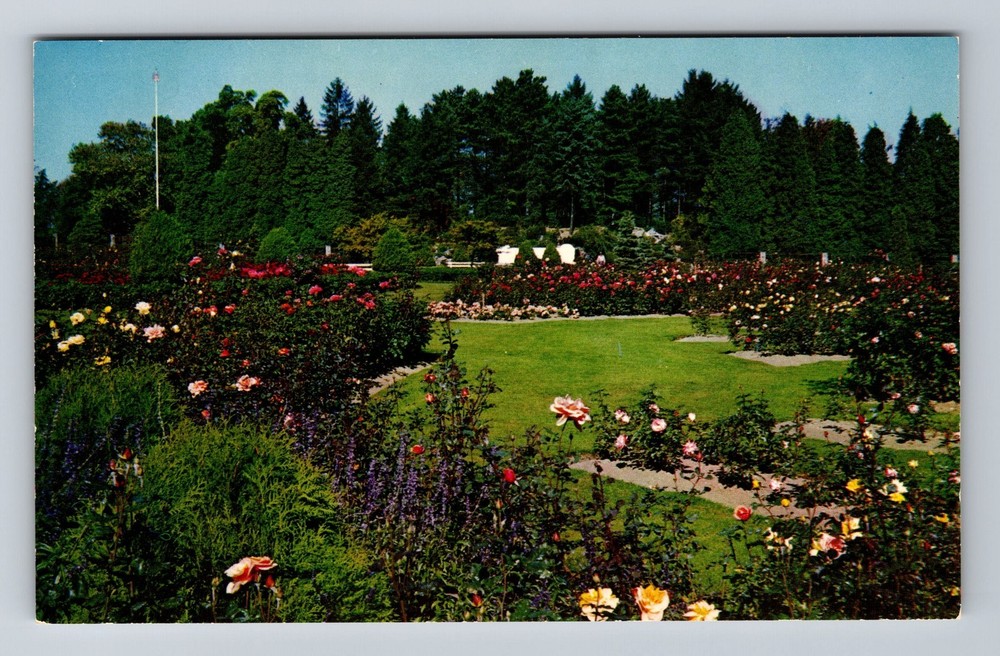 Seattle WA-Washington Woodland Park Zoo Rose Garden Vintage Postcard Postal