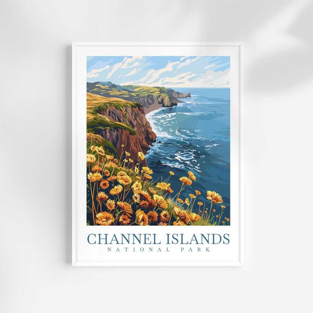 Channel Islands National Park Travel Print Channel Islands Poster Home Dcor