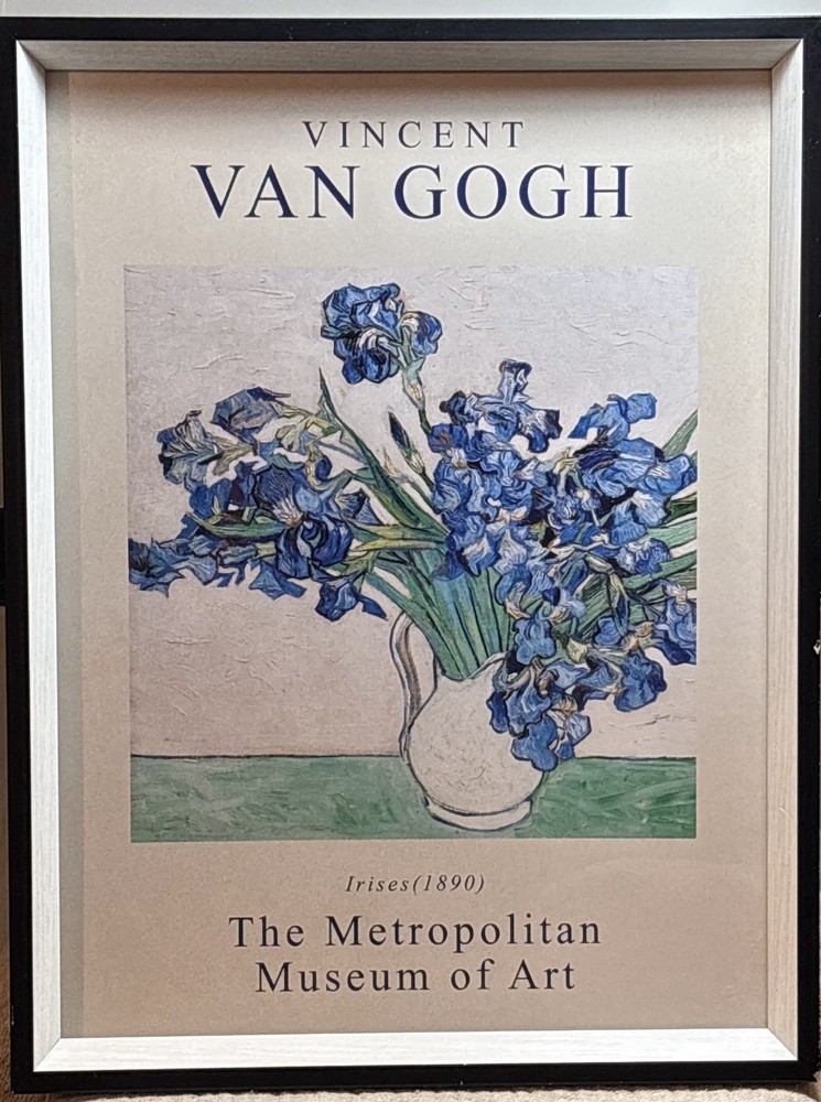 Van Gogh Irises 1890 Metropolitan Museum Framed Art Poster Print 13x17