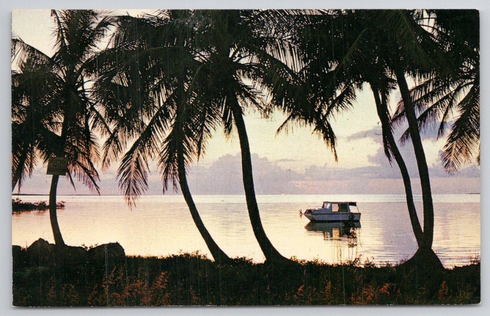 Vintage Florida Waterways Postcard - Palm Trees, Boat, Sunset by Ralph Schuurman