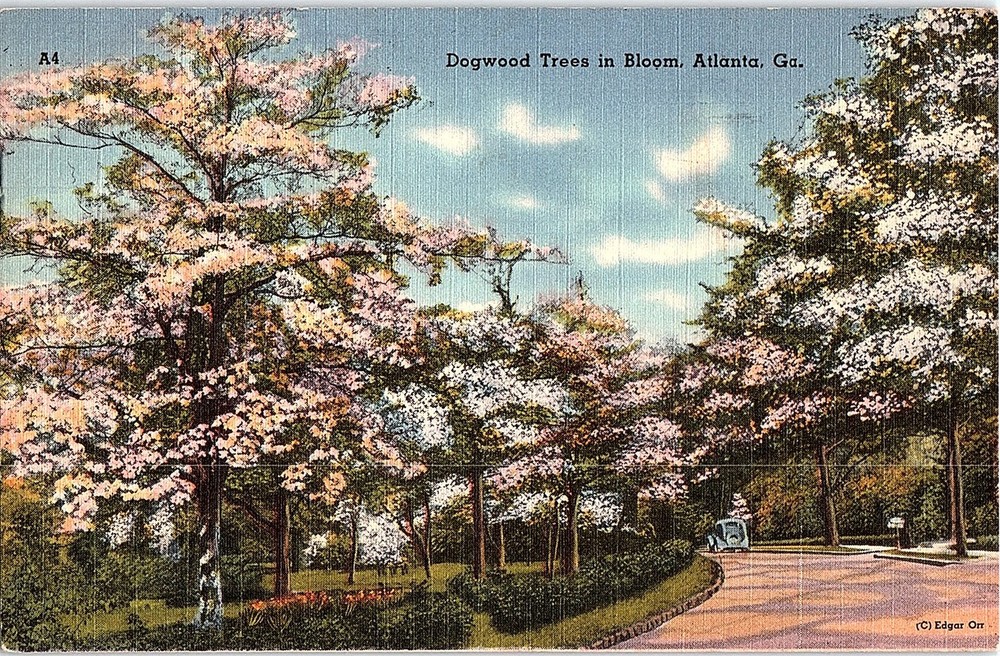 Postcard PARK SCENE Atlanta Georgia GA m/09 AI1170