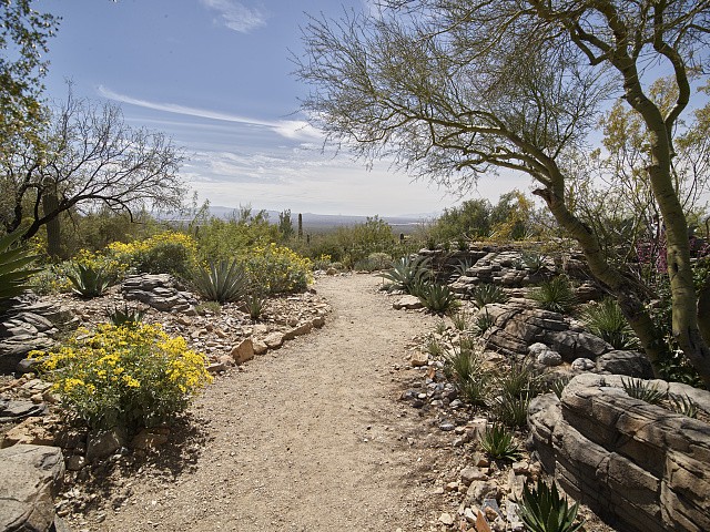 Photo:Tucson Arizona 2018 Arizona-Sonora Desert Museum Desert Garden Path