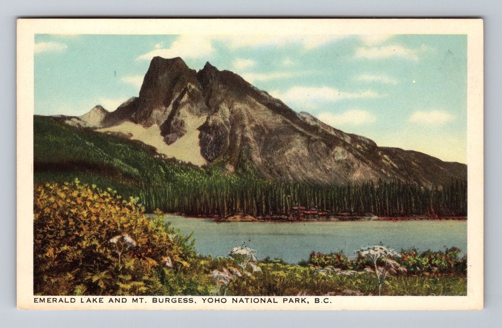 Canada B.C. Yoho National Park Emerald Lake and Mt. Burgess Vintage Postcard