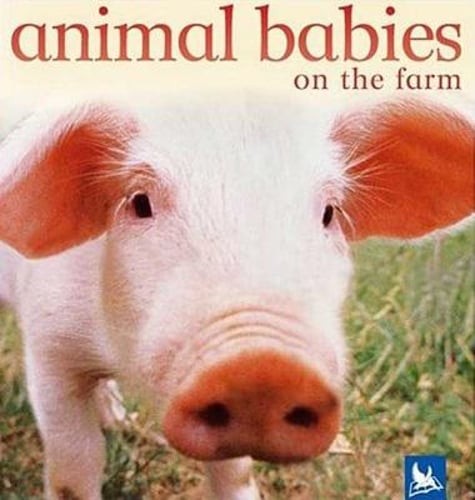 Animal Babies on the Farm by Kingfisher Books: Used