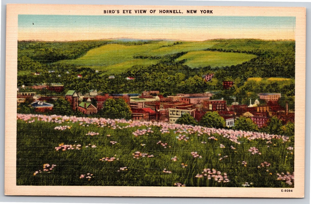 Hornell New York~Birds-Eye View Of Hornell aka Maple City~Vintage Linen Postcard