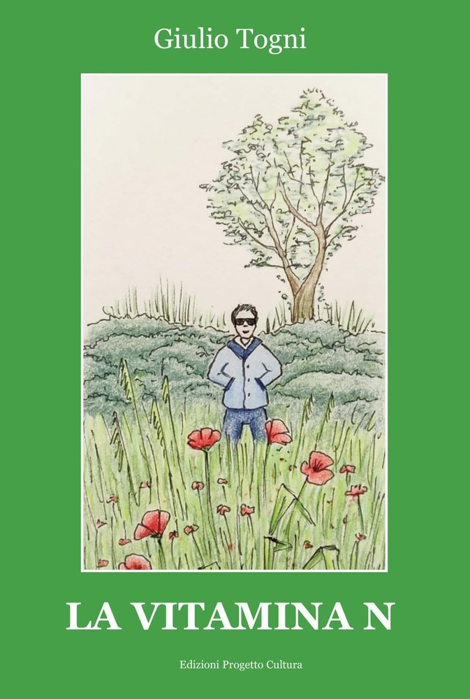 Giulio Togni La vitamina N (Paperback) (UK IMPORT)All Tariffs and Duties included - no additional charges
