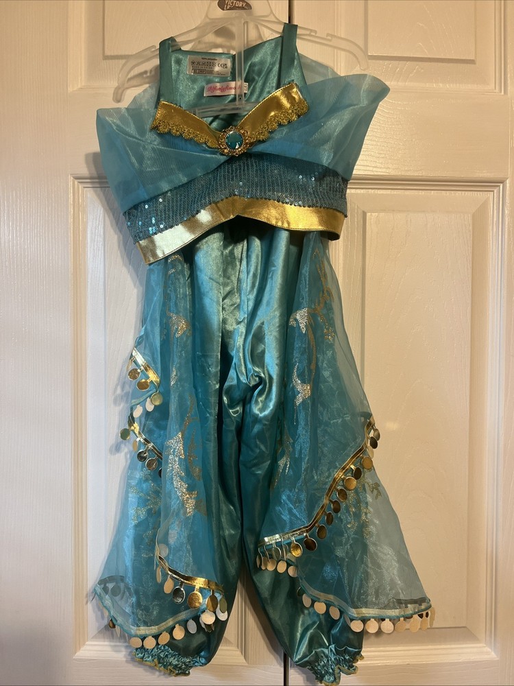 Princess Jasmine Inspired Teal Costume Child Size Small Top & Pants
