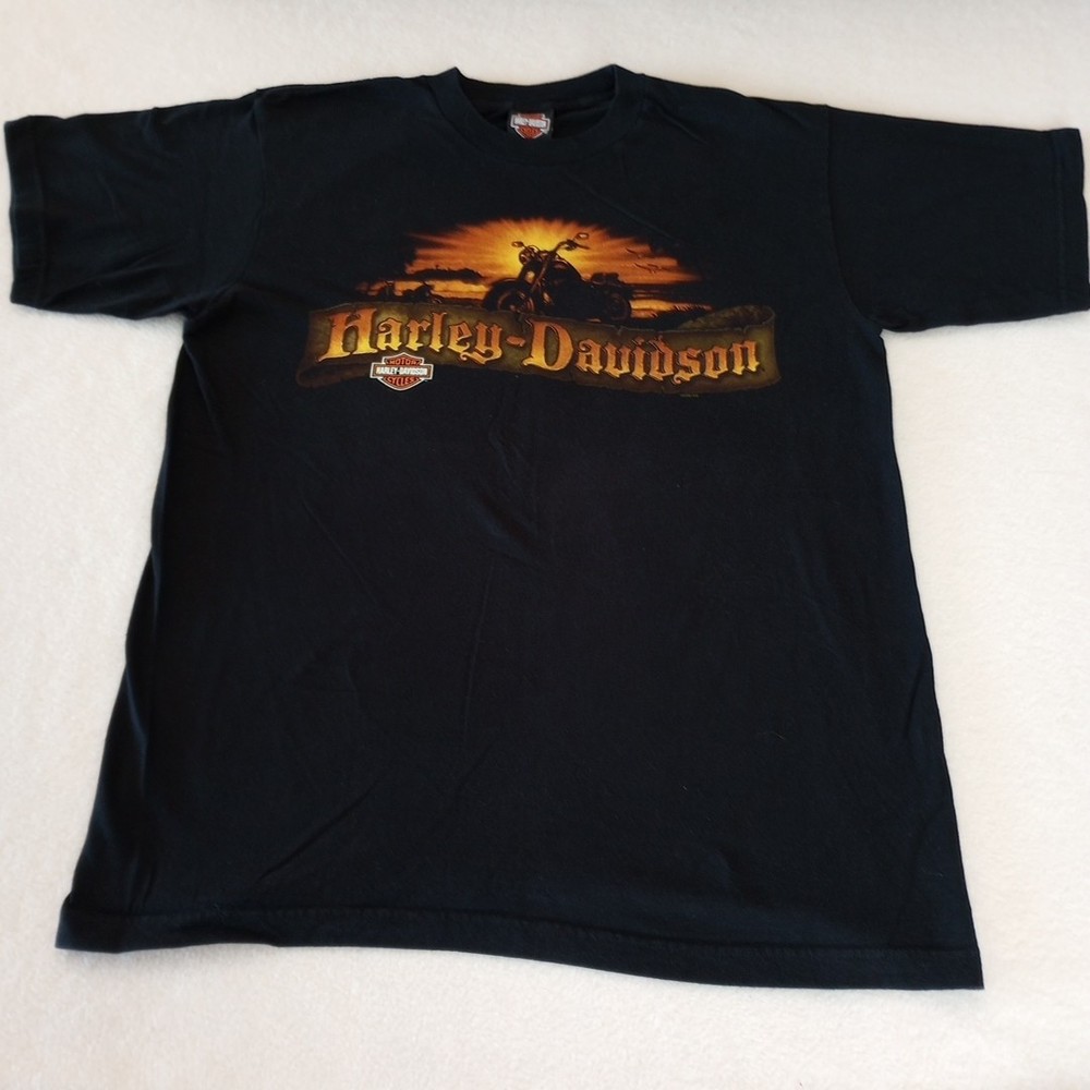 Barnett Harley Davidson El Paso Texas Shirt Men’s Size Large State Logo