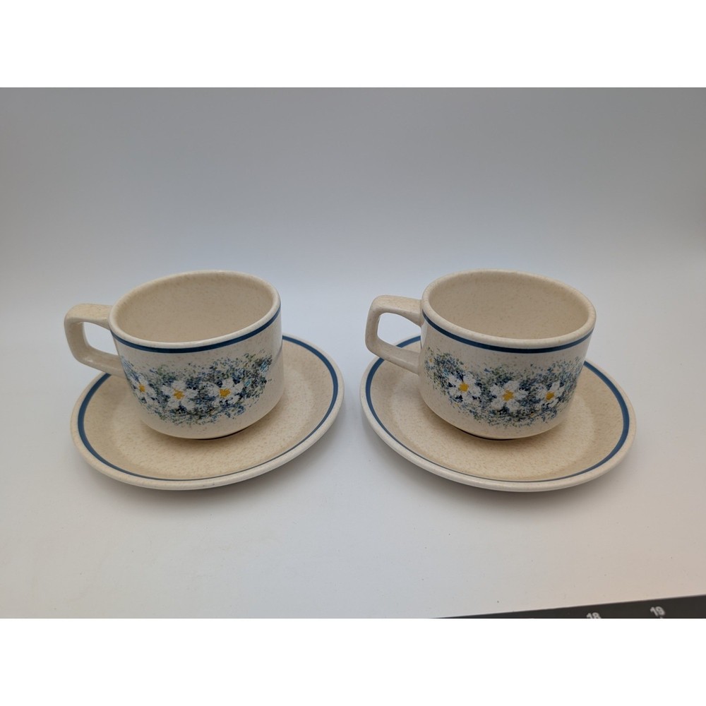 Temper Ware by Lenox Dewdrops Coffee Cup and Saucer Set of 2