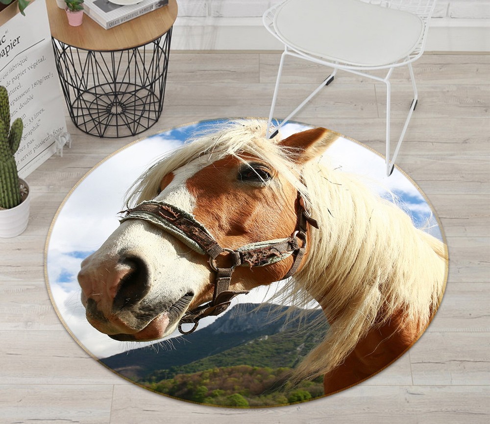3D Confident Horse AHO186926 Animal Non Slip Rug Mat Elegant Photo Carpet Romy