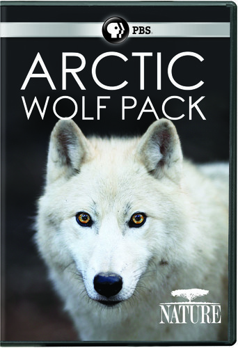 Nature: Arctic Wolf Pack [New DVD]