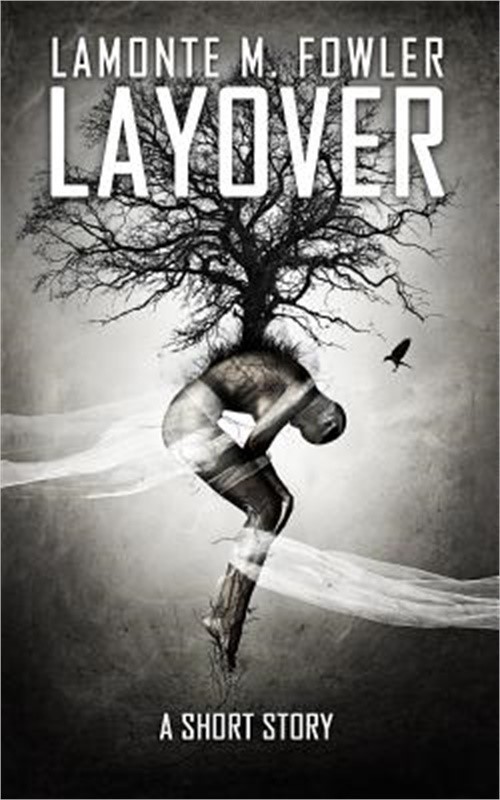 Layover (Paperback or Softback)