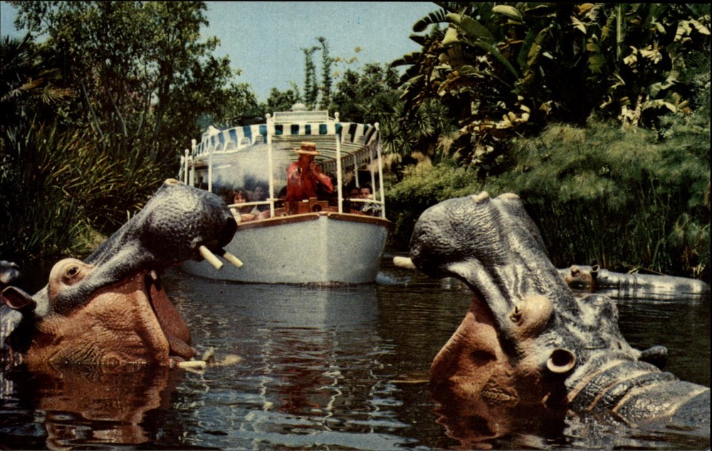 Jungle Cruise Disneyland Anaheim California vintage postcard t636