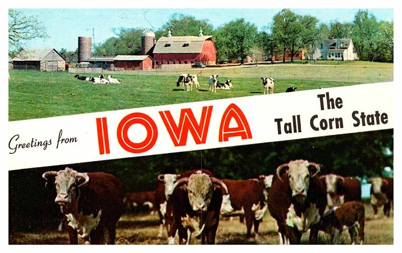 Postcard FARM SCENE State of Iowa IA AQ1803