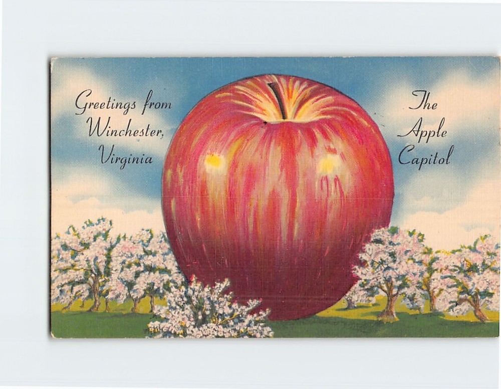 Postcard Giant Apple Art Print Greetings from Winchester Virginia USA