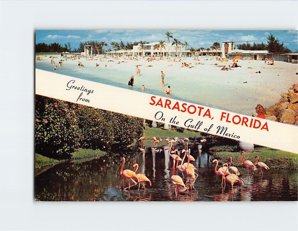 Postcard Lido Beach & Flamingos Greetings from Sarasota Florida USA