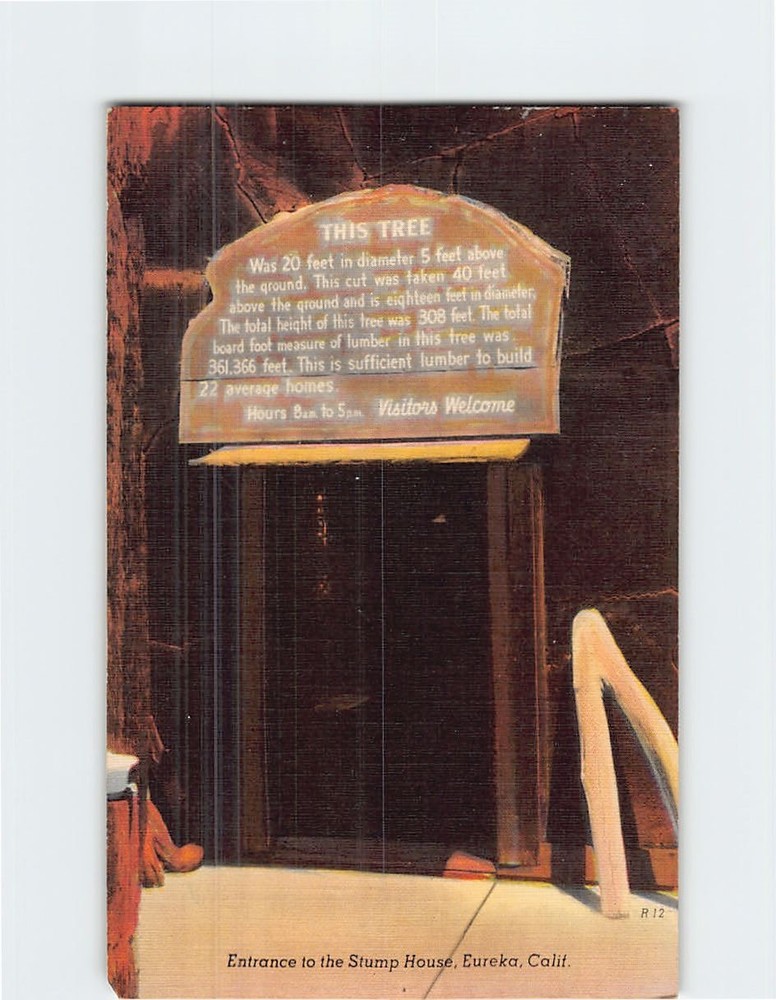 Postcard Entrance to the Stump House Eureka California USA