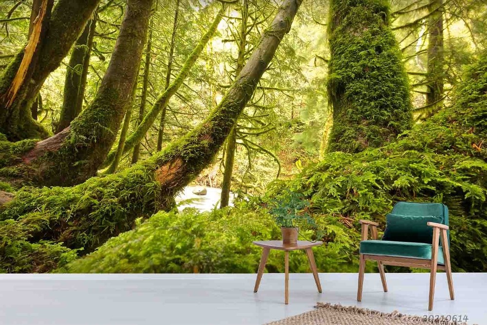 3D Green Plant Leaves Closeup Wall Murals Wallpaper Murals Wall Sticker