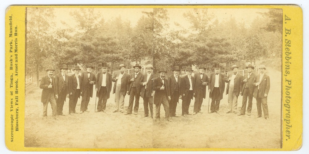 D0657~ PENNSYLVANIA – Elmira NY German Pioneers Bush’s Park c.1878 Stereoview