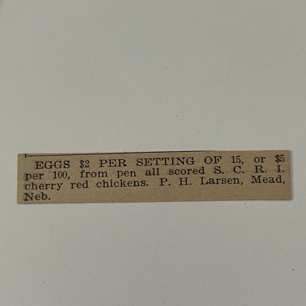 S.C.R.I. Cherry Red Chickens P.H. Larsen Mead NE 1911 Ad SAG9-S12