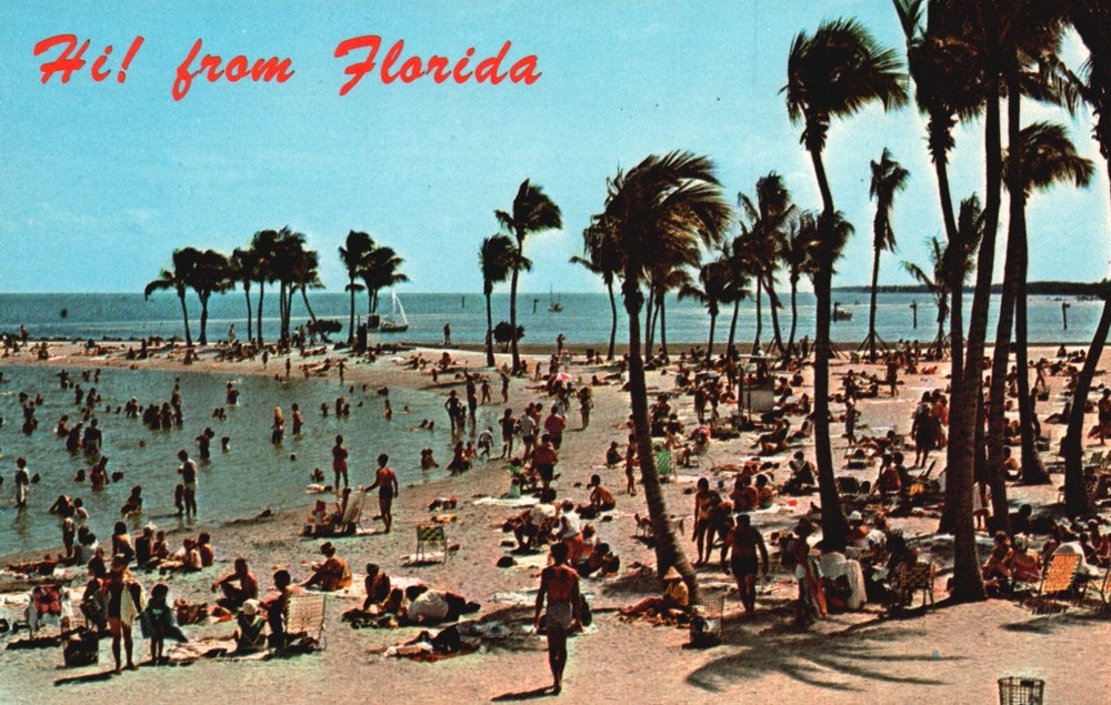 Postcard FL Hi! from Florida Busy Beach Scene Palm Trees Chrome Vintage PC H8320