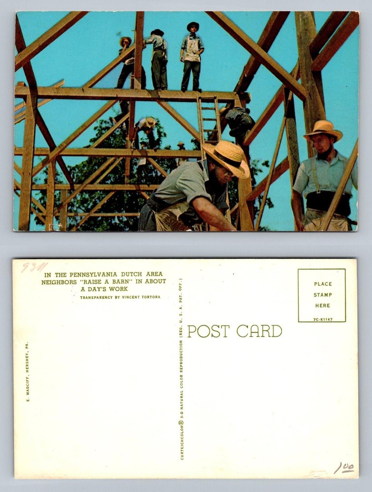 Pennsylvania Dutch PA-Pennsylvania Amish Barn Raising Neighbors Vintage Postcard
