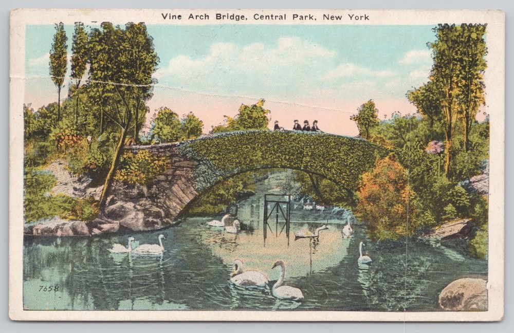 Vintage Vine Arch Bridge Central Park New York City Postcard Swans