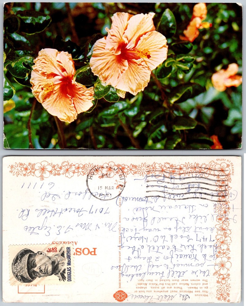 Peach Hibiscus Flowers Hawaii Postcard
