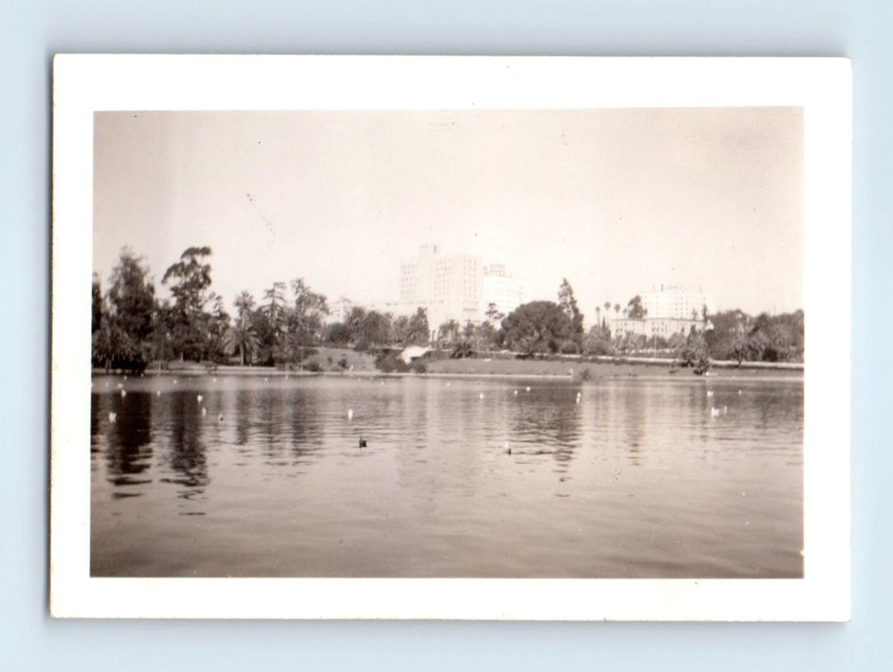 Old Vintage Photo WESTLAKE MACARTHUR PARK LOS ANGELES ANTIQUE SNAPSHOT PIC