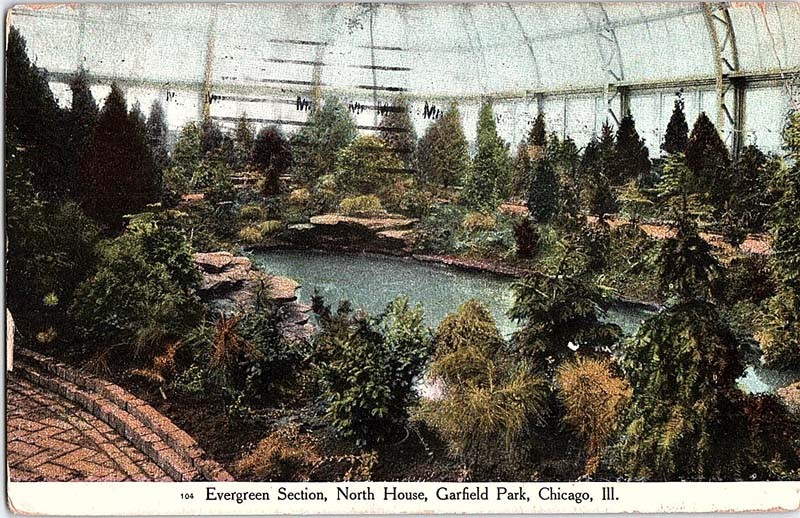 Postcard NATURE SCENE Chicago Illinois IL a/01 AJ2075