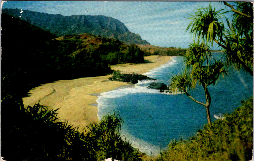 Vintage Postcard Lumahai Beach Kauai Hawaii Hala Trees View
