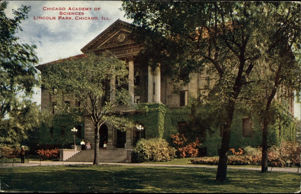 Chicago Academy of Sciences Lincoln Park~ Illinois~ VO Hammon Publ~ postcard-image
