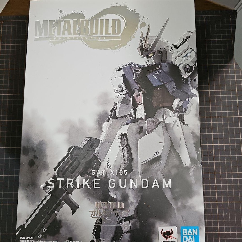 Metal Build Strike Gundam #3b3806