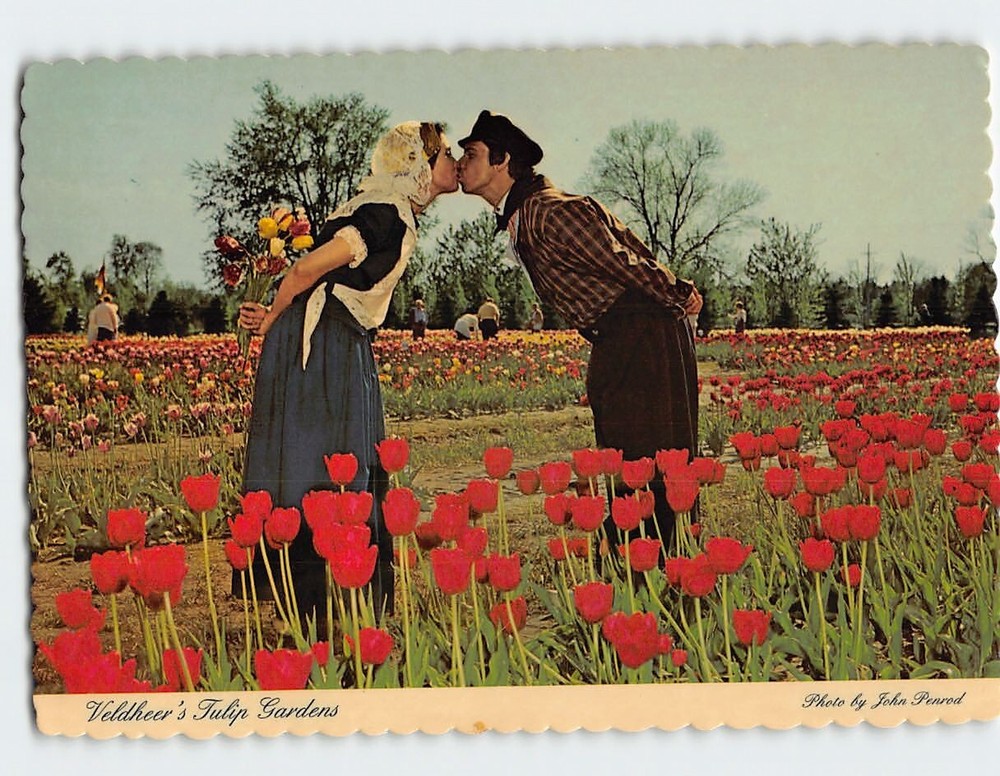 Postcard Couple Kissing Veldheer's Tulip Gardens Holland Michigan USA