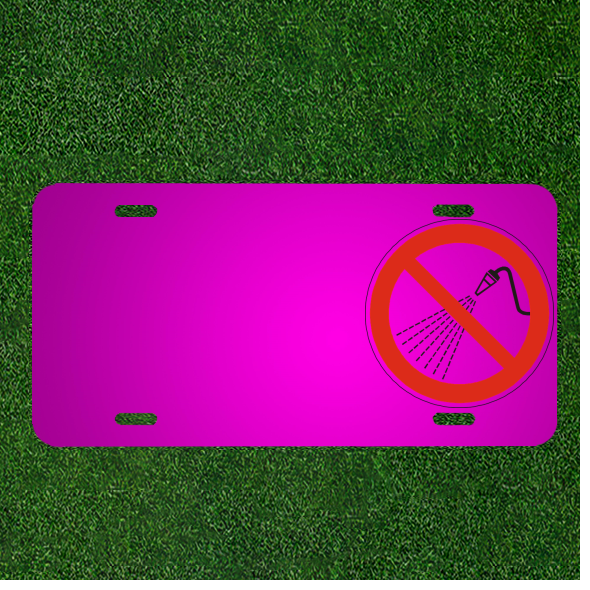 Custom Car License Plate with Personalized Names and Water Usage Prohibited